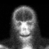 algotruneman