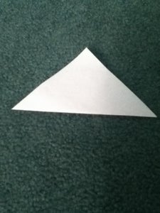 Fold the Square in Half