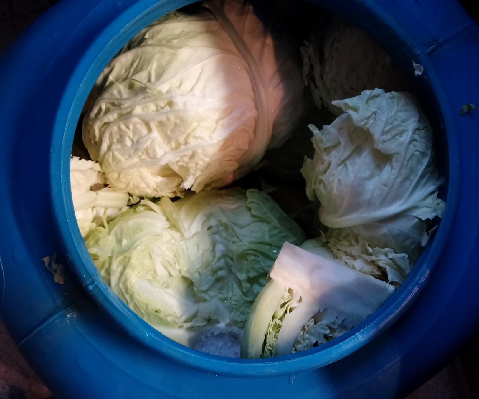 Varză Murată - Pickled Cabbage