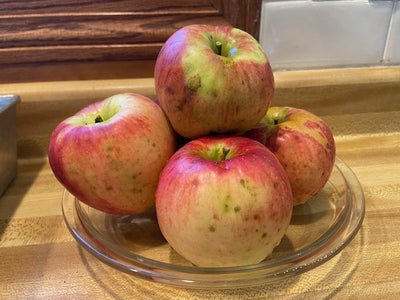 Frozen Apple Pie Filling