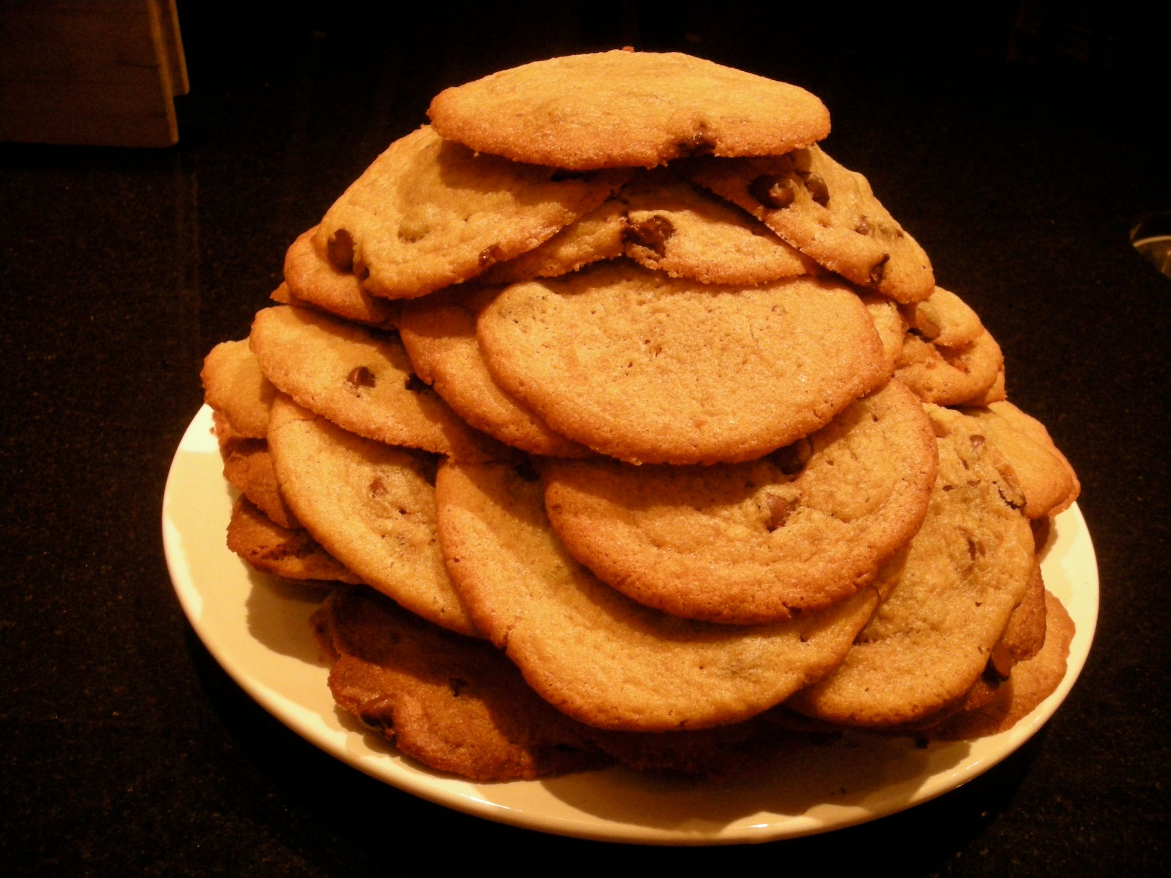 Chocolate Chip French Vanilla Pudding Cookies