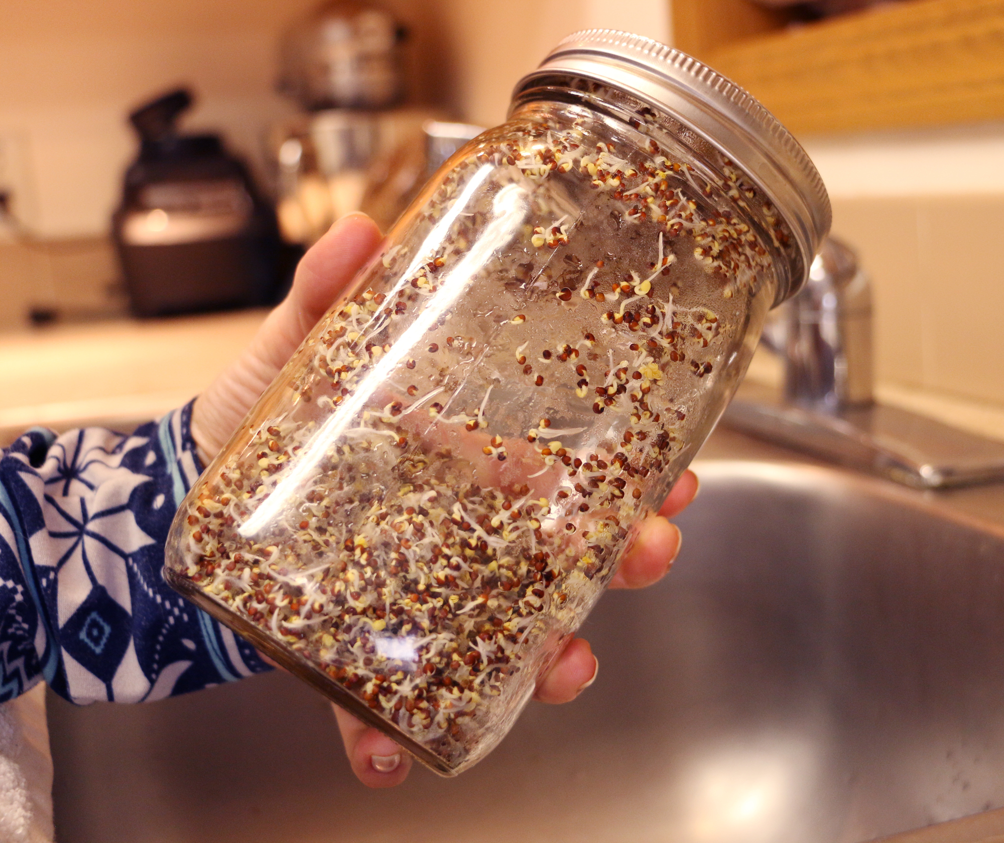 How to Grow Broccoli Sprouts in a Jar 6 Steps (with Pictures