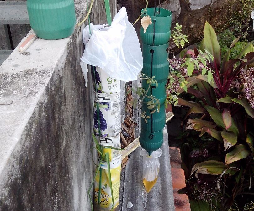 Verticanteiro e Jardinela