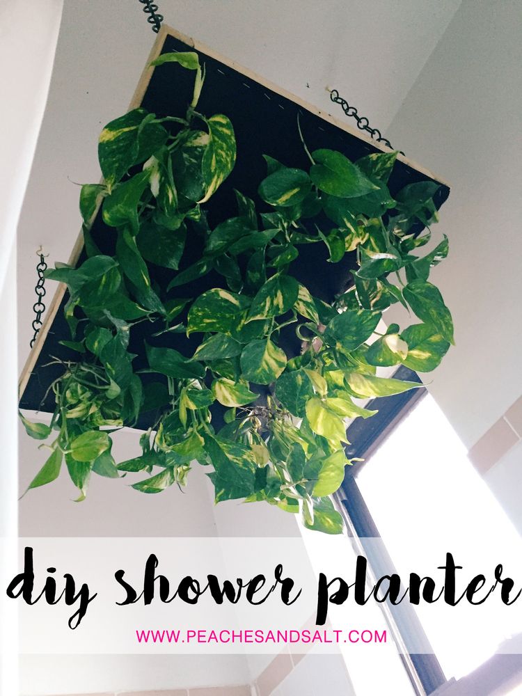 Shower in the Jungle : 10 Steps (with Pictures) - Instructables