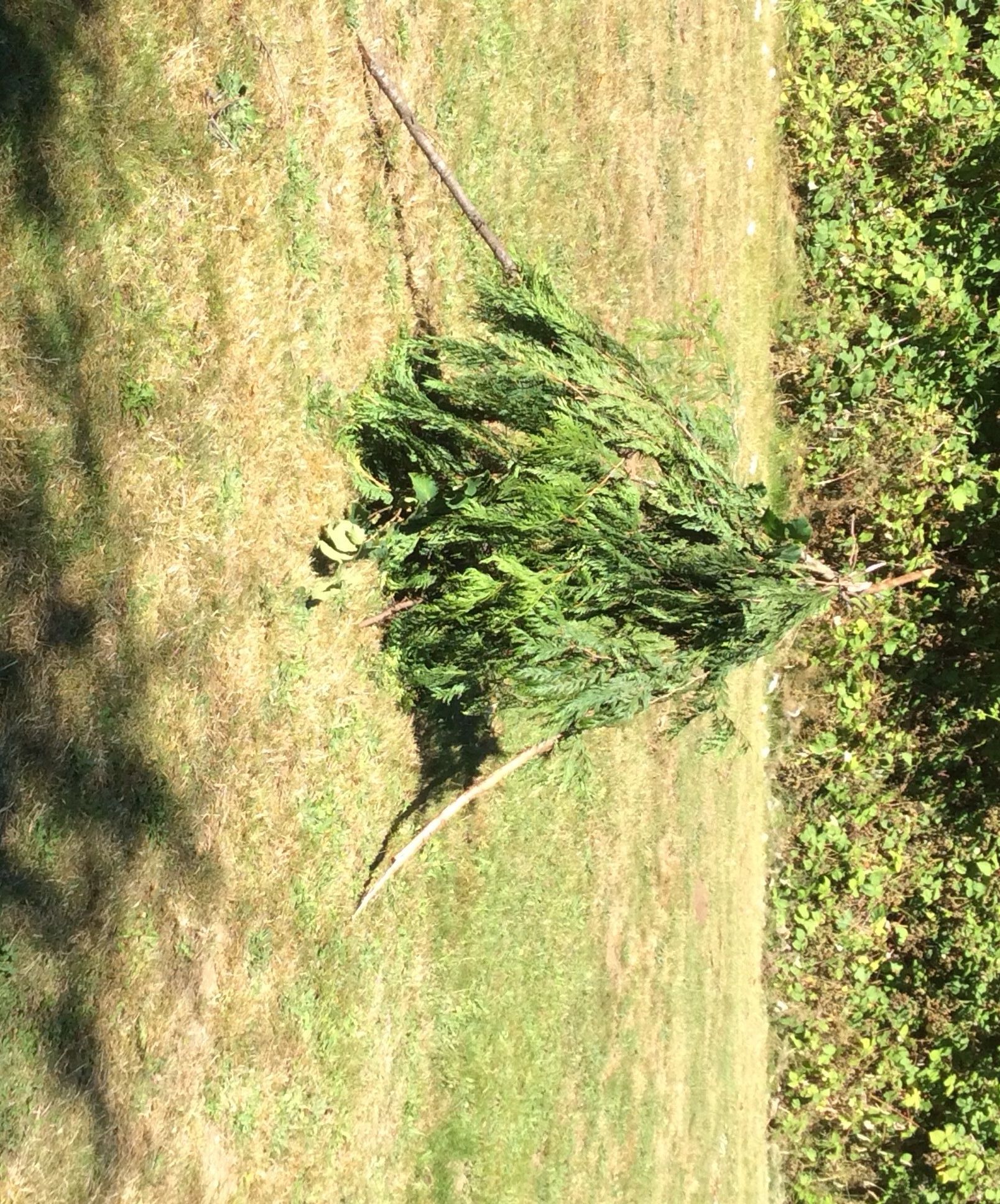 Survival Signal Fire 