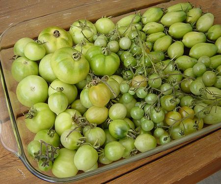 Green Tomato & Bacon Jam