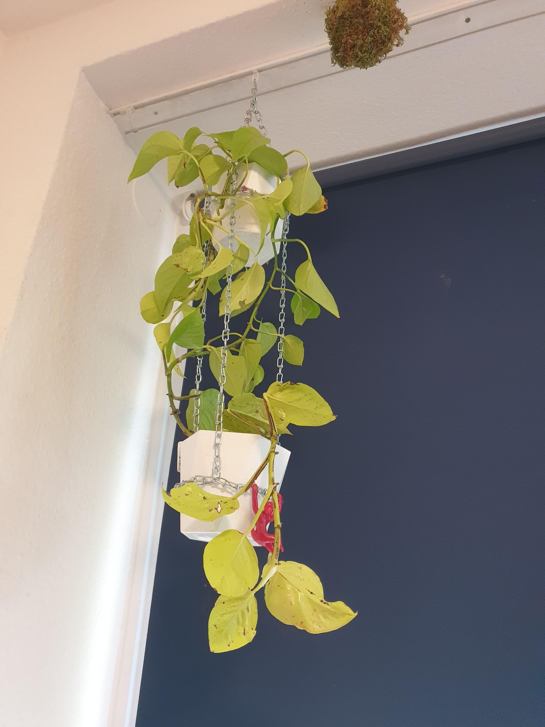 Hanging Baskets Chain : 9 Steps - Instructables
