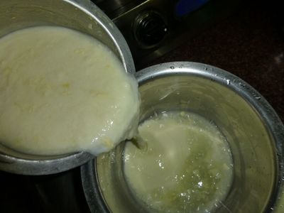 Making Butter From Curd