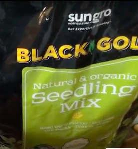 Plant in Soil