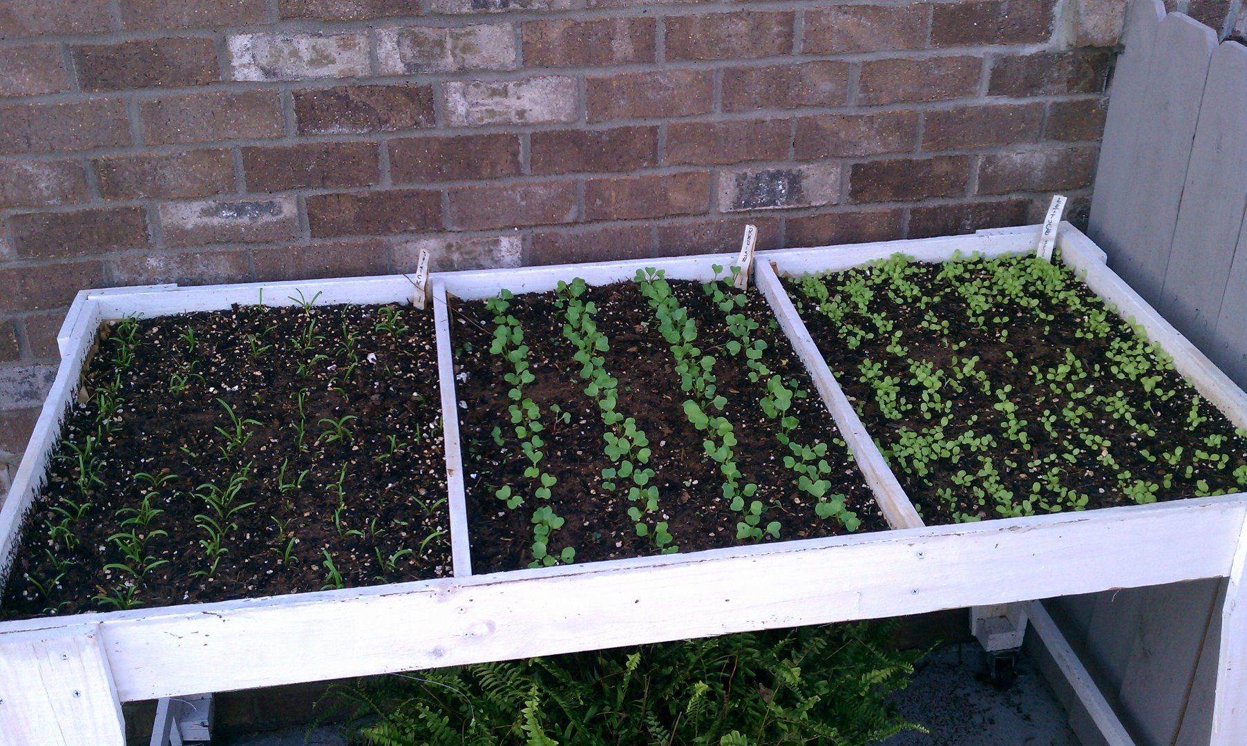 Salad Table - for the Urban Gardner : 4 Steps (with Pictures ...