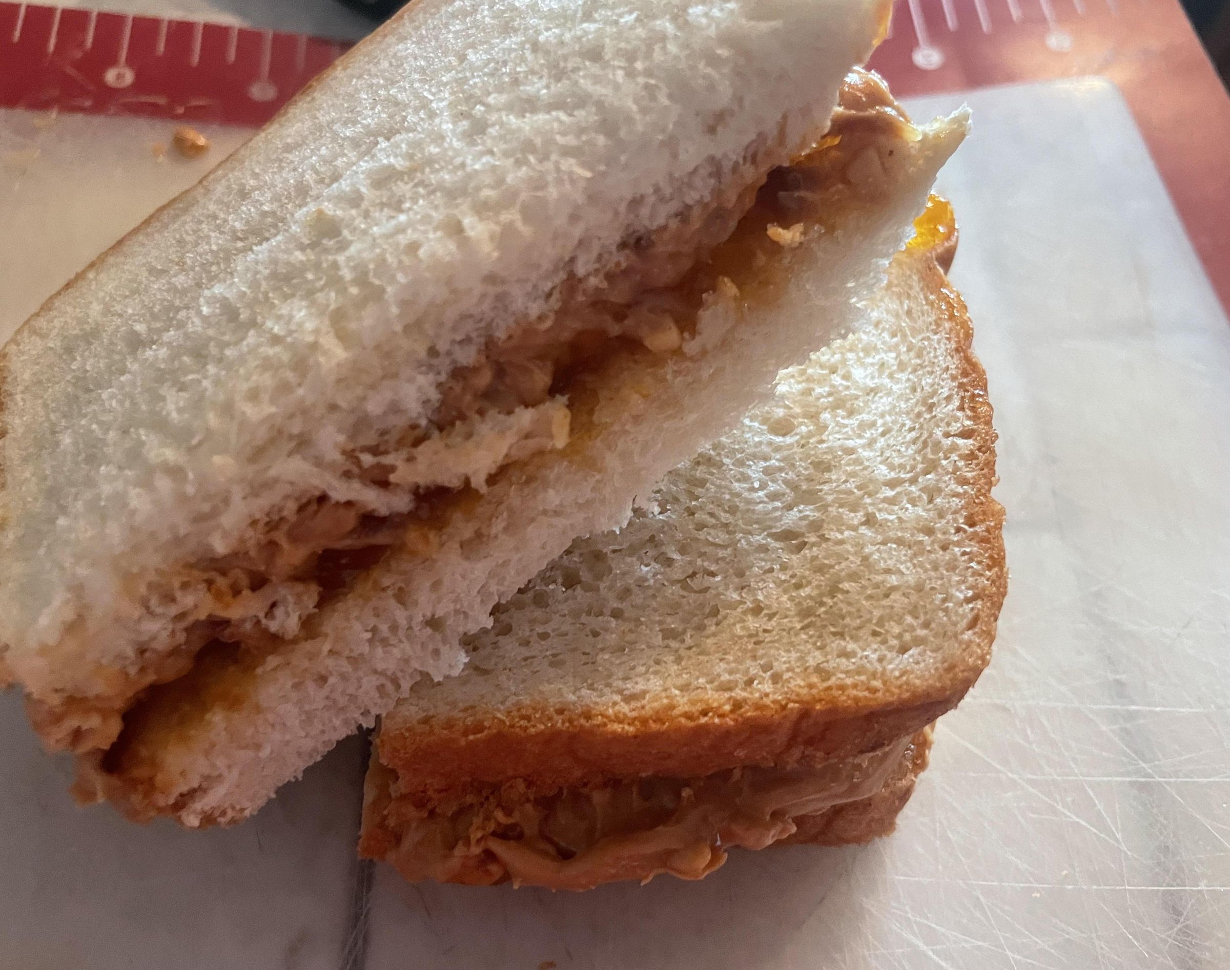 Peanut Butter and Jelly Sandwich