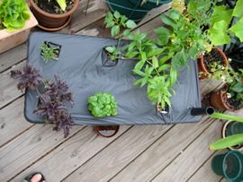 Planting an Earth Box : 6 Steps - Instructables