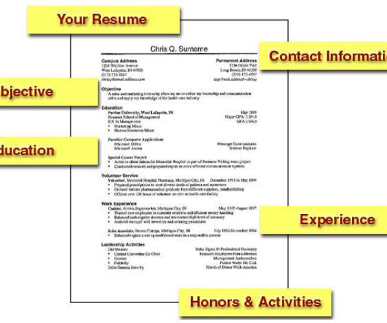 How to Make a Professional Resume