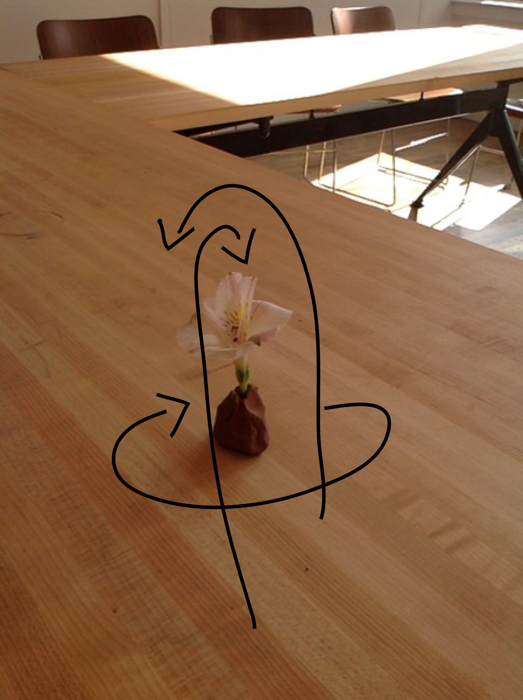 My Flower Messenger 4 Steps Instructables