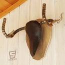 Bicycle Themed Deer Antler Mount