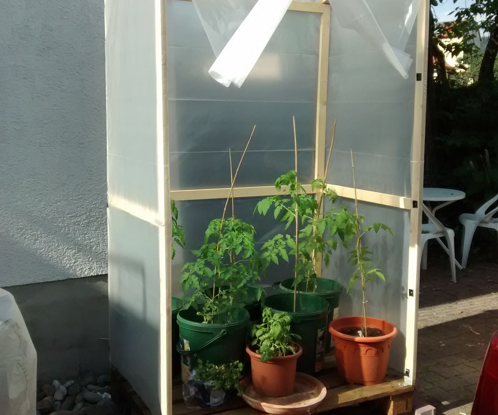 Mobile Tomato Shelter / House