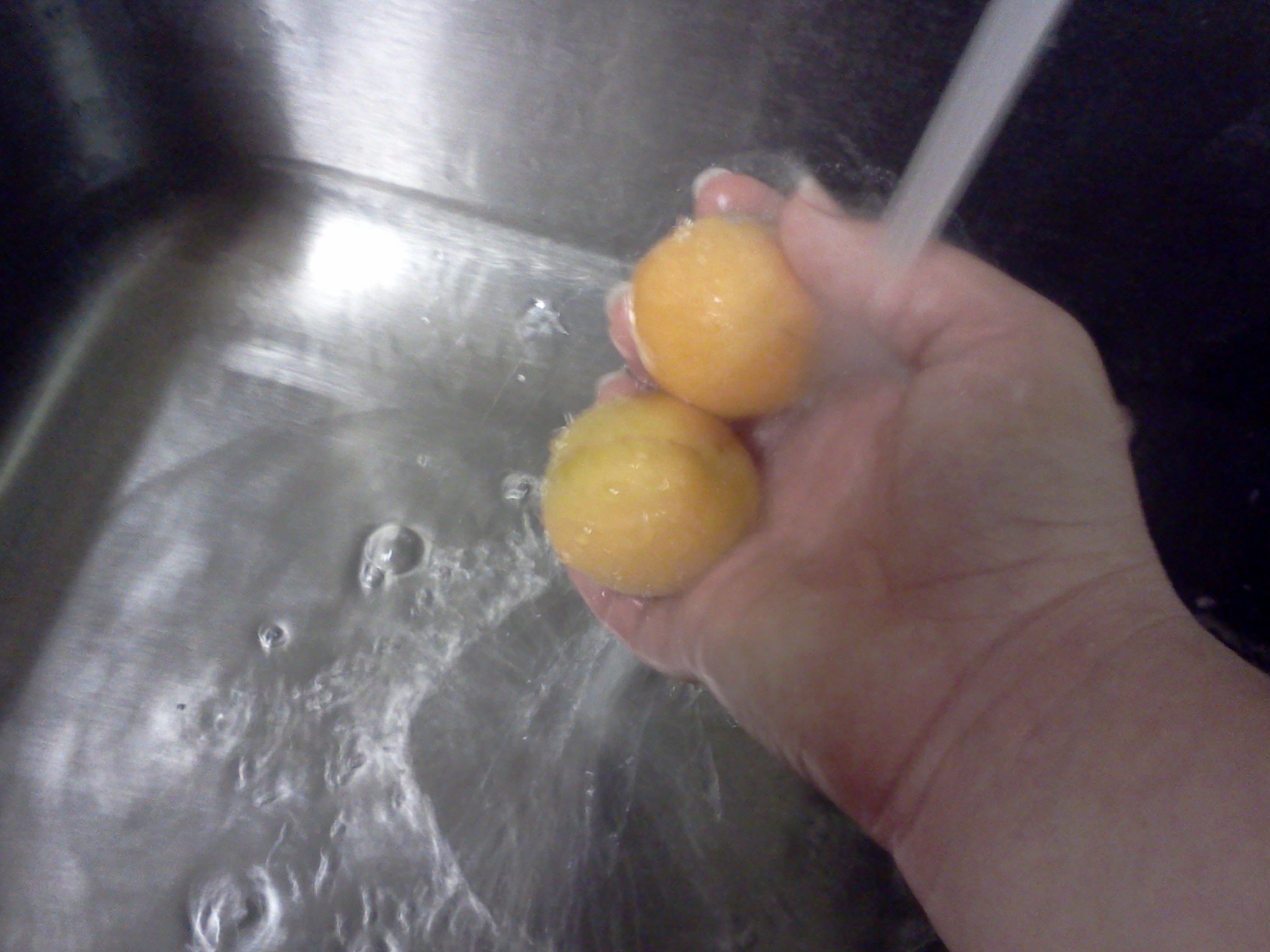 Dehydrating Apricots 4 Steps (with Pictures) Instructables