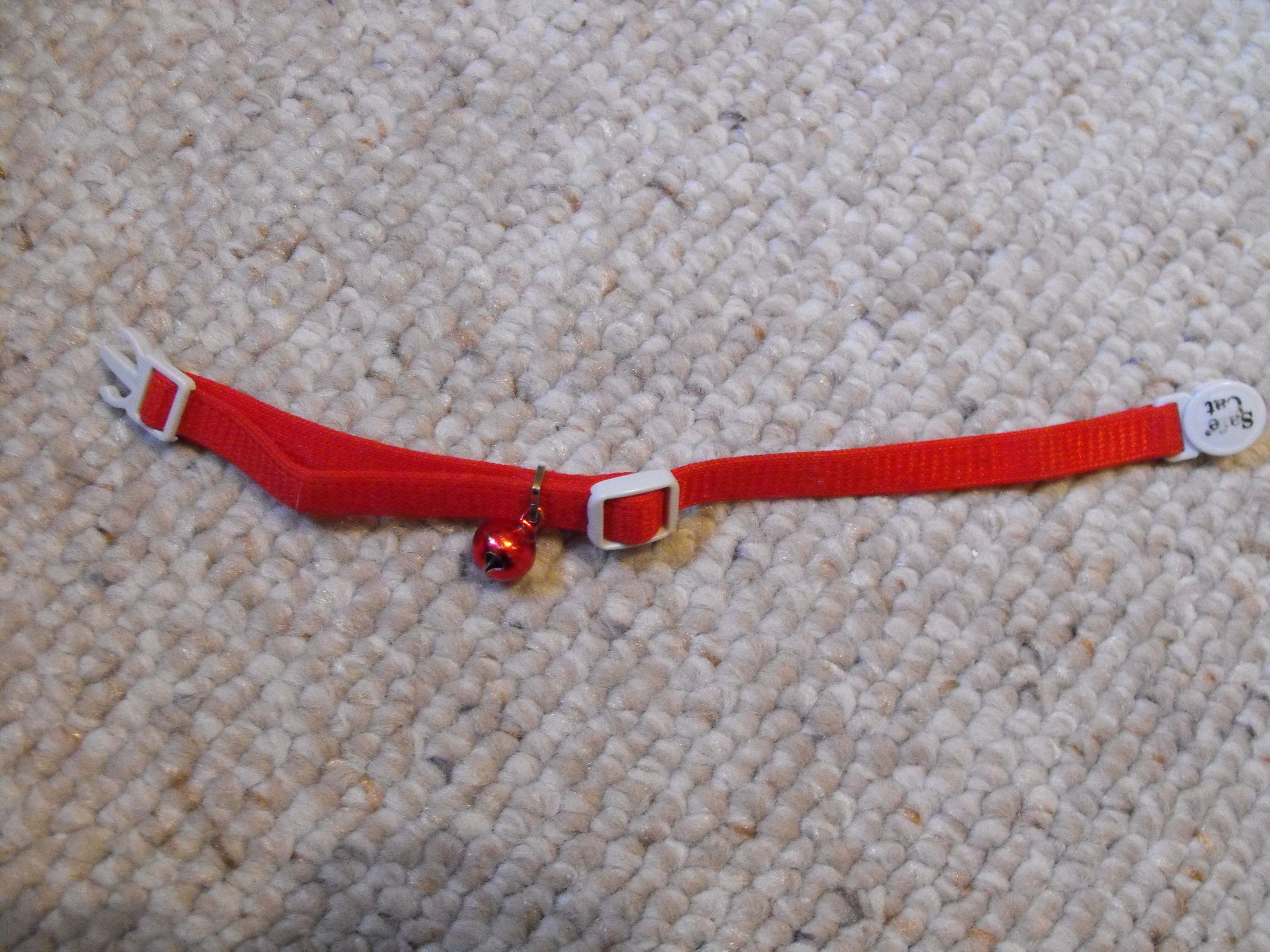 How to Put a Bell on Your Cat. 4 Steps Instructables