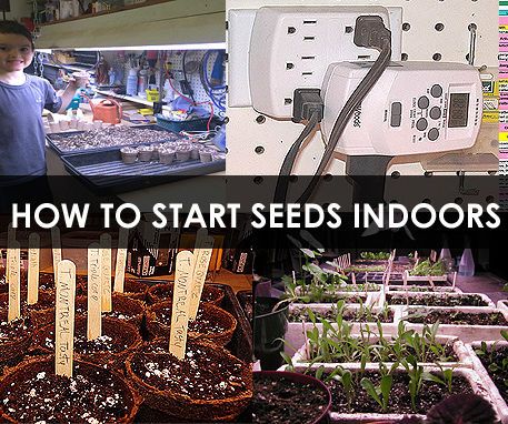 Starting Seeds Indoors - How to Start Seeds