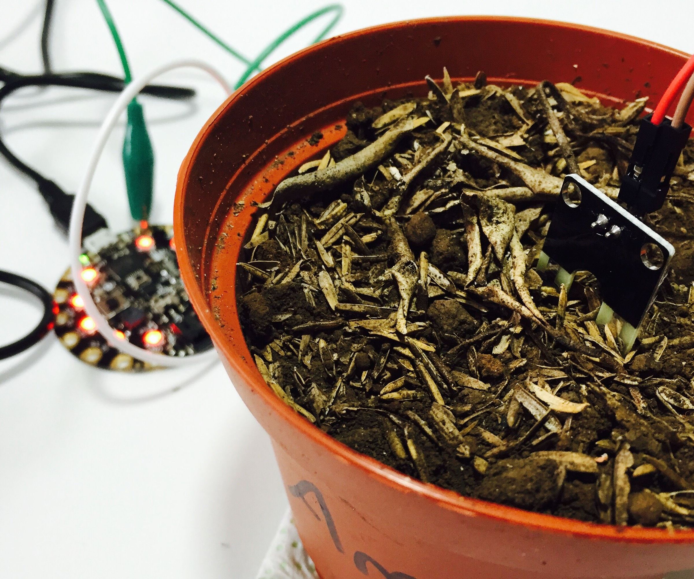 Kit Ciencia Y Arte: Humedad Del Suelo Y Temperatura