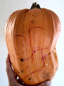 Pumpkin Shopping, Permanent Marker