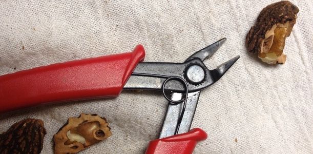 Black Walnut Harvesting & Processing : 11 Steps (with Pictures ...