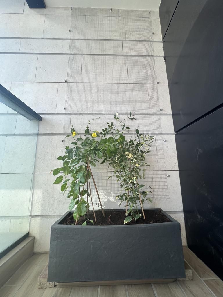 green ficus plant VECELO Artificial Ficus Tree with Sturdy Nursery Pot, 5FT and 6FT Faux