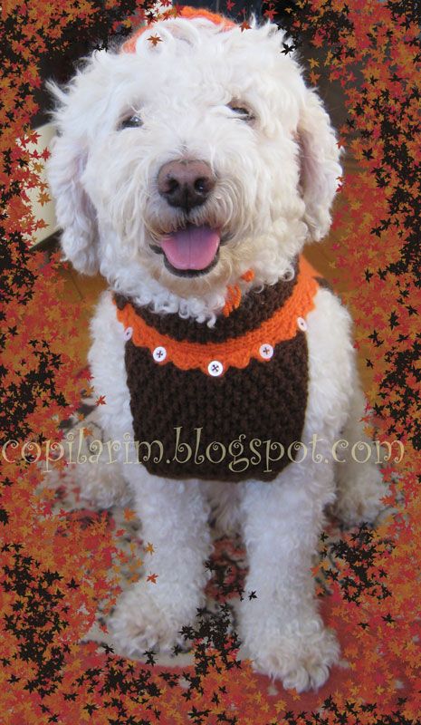 Dodo's autumn coat, hats and amigurumi toy
