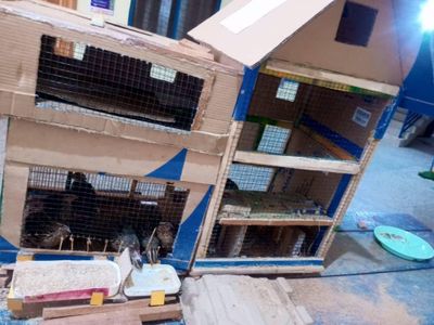 Building the Quail House