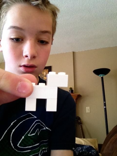 LEGO Sheep