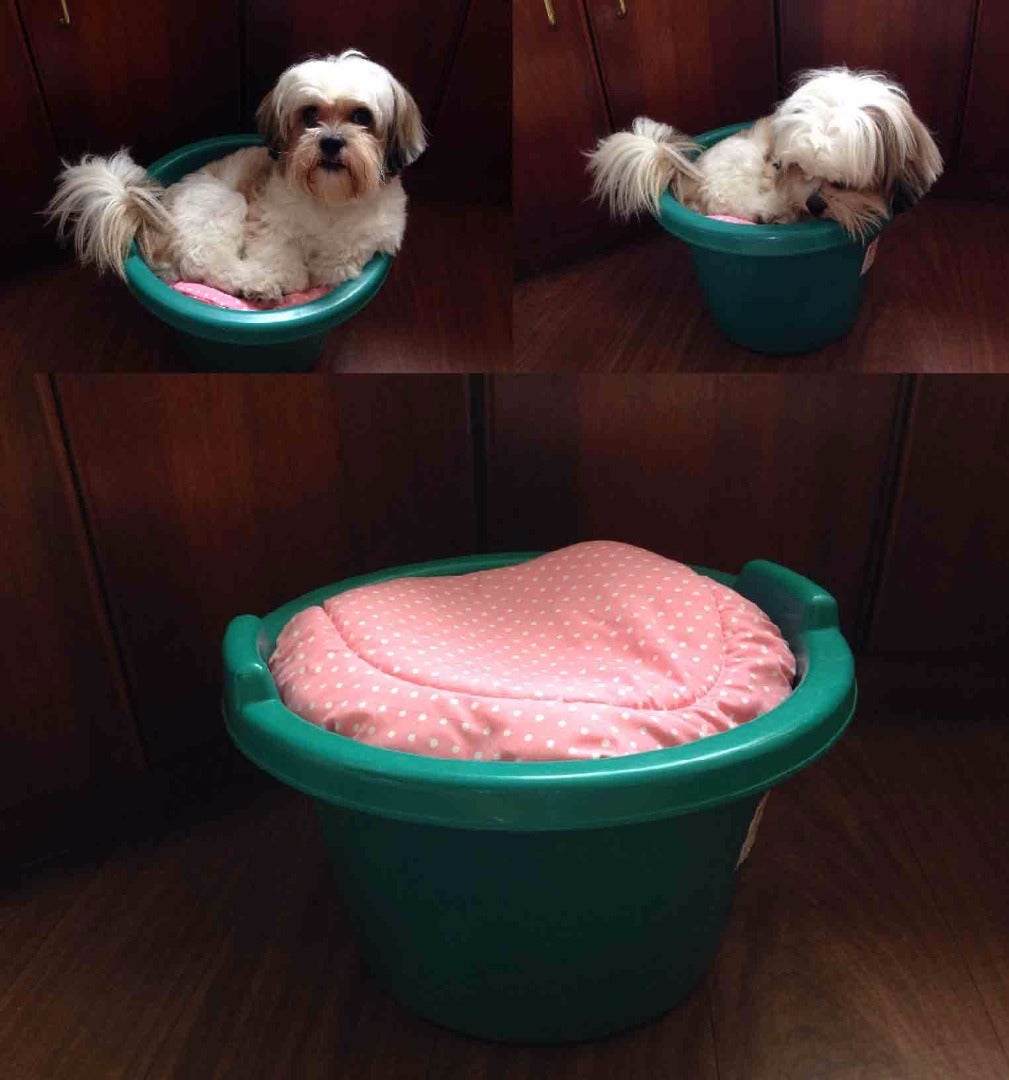 Dog Bed