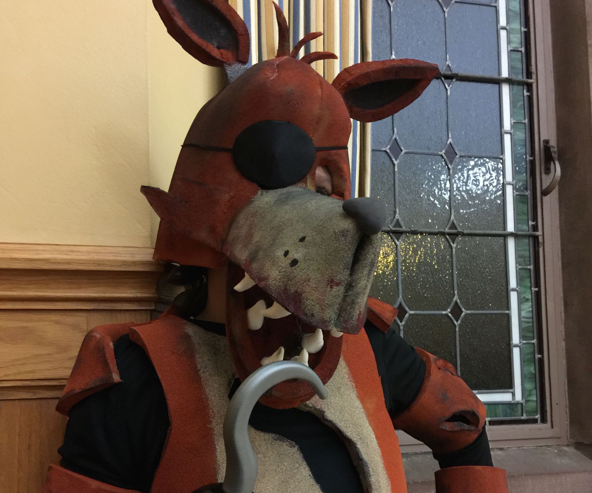 Five Night at Freddy's Foxy Costume