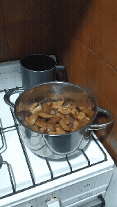 Preparations and First Stage of Cooking