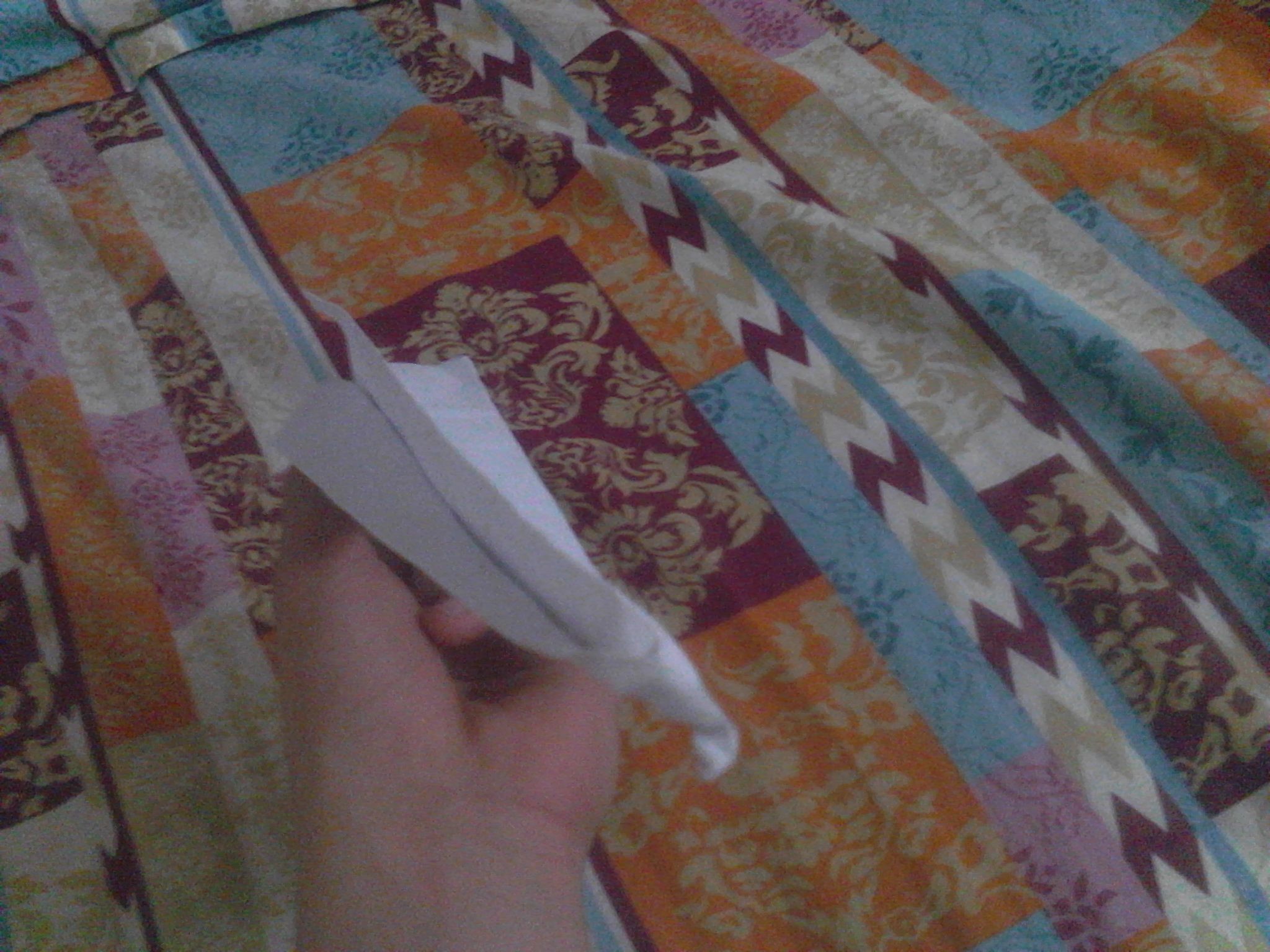 THE ROCKET PLANE!