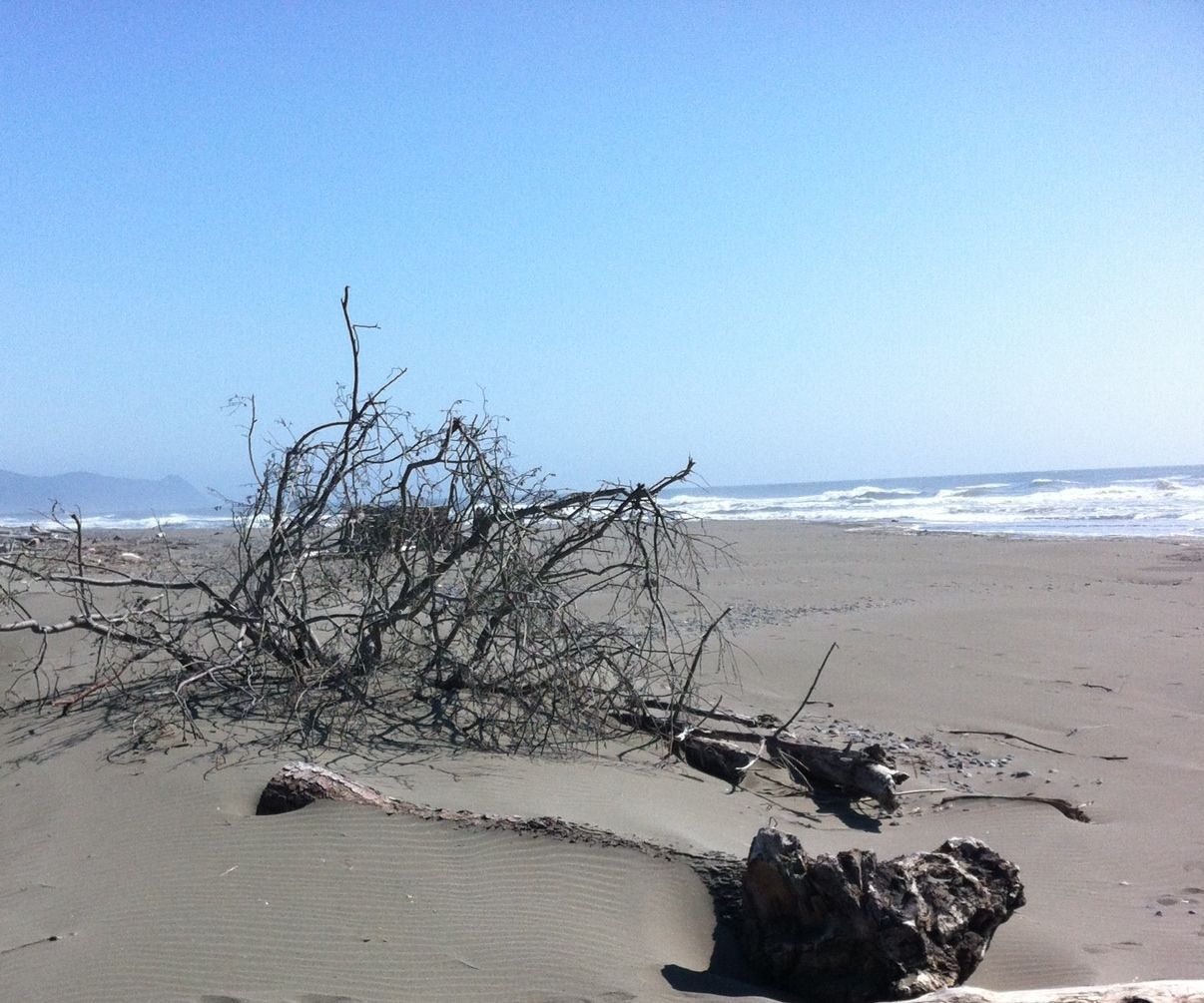 PULLING  IRON  From  GOLD BEACH