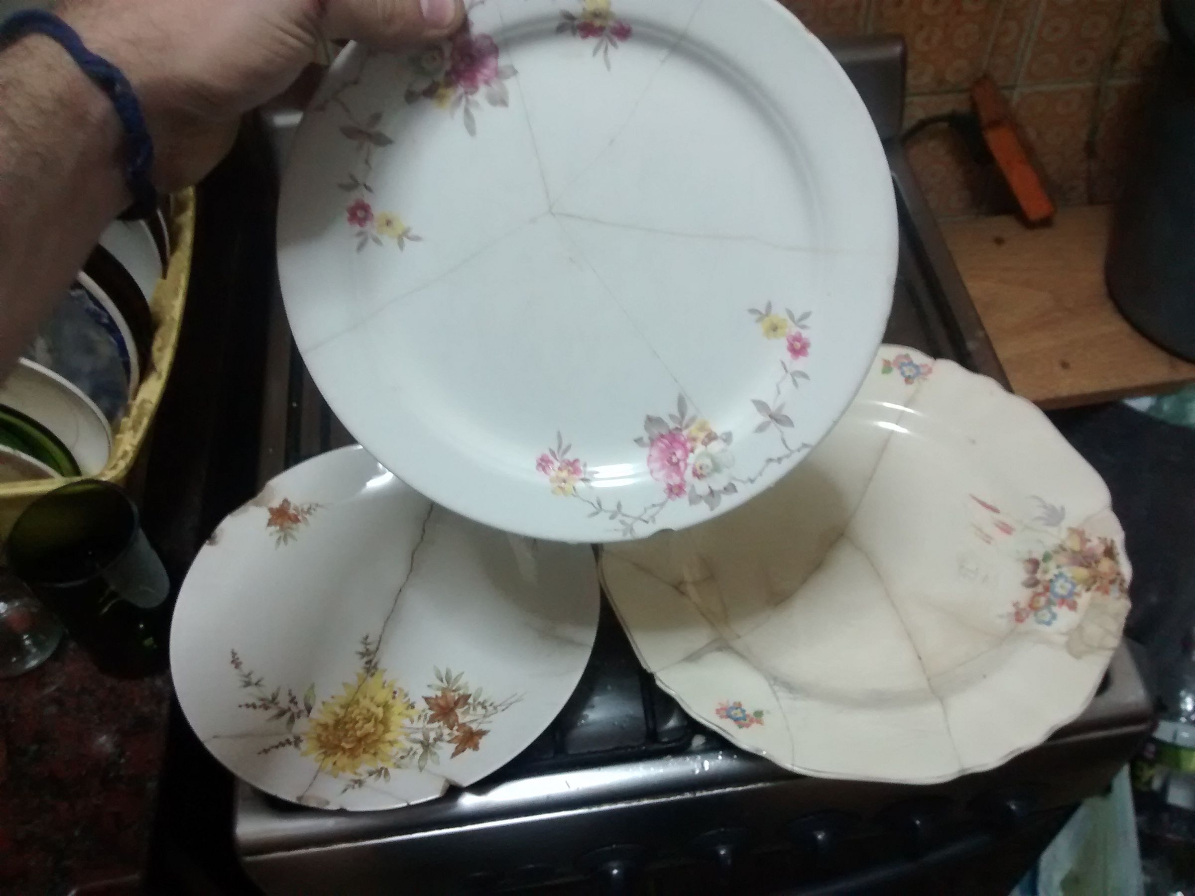 Reparar Platos Rotos