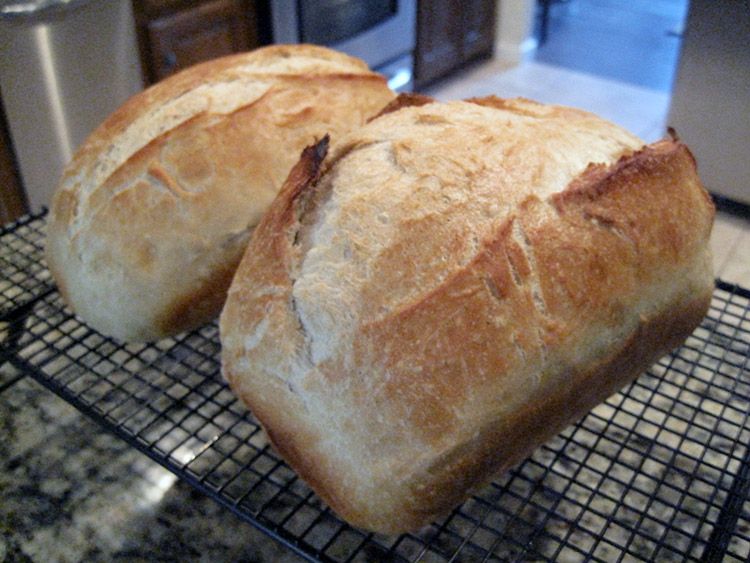 Sour Dough Bread