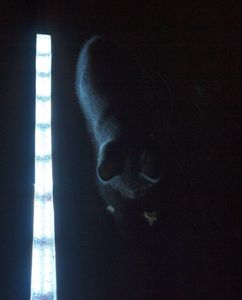An Awesome LED PVC Pipe Light : 9 Steps (with Pictures) - Instructables