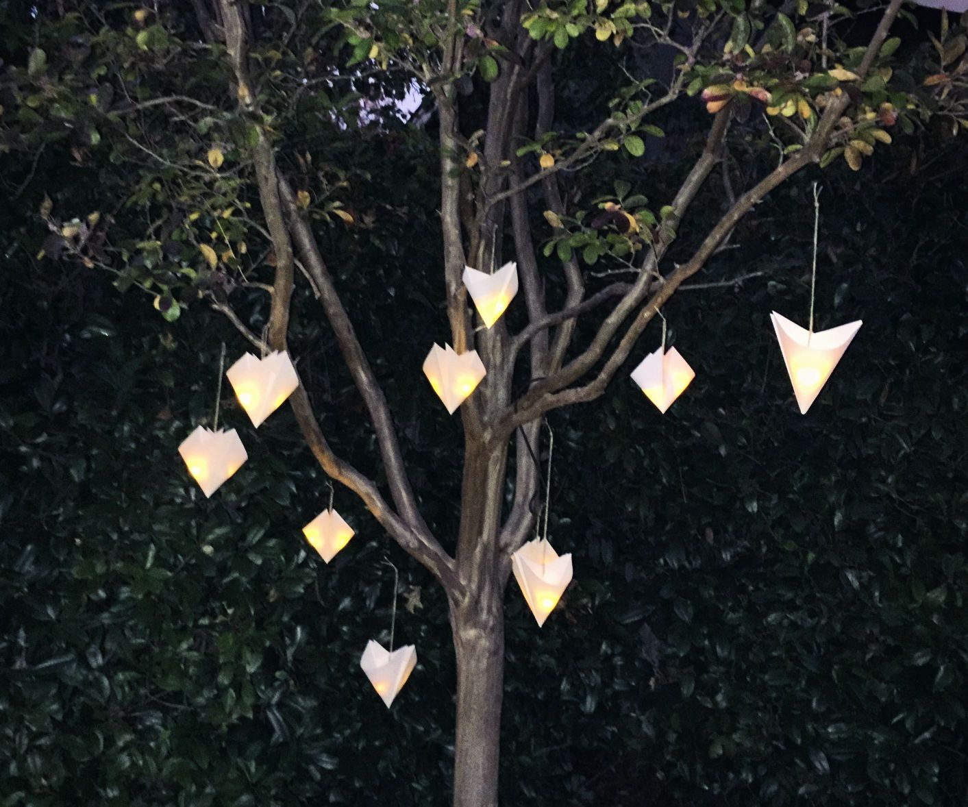 Hanging Paper Lanterns