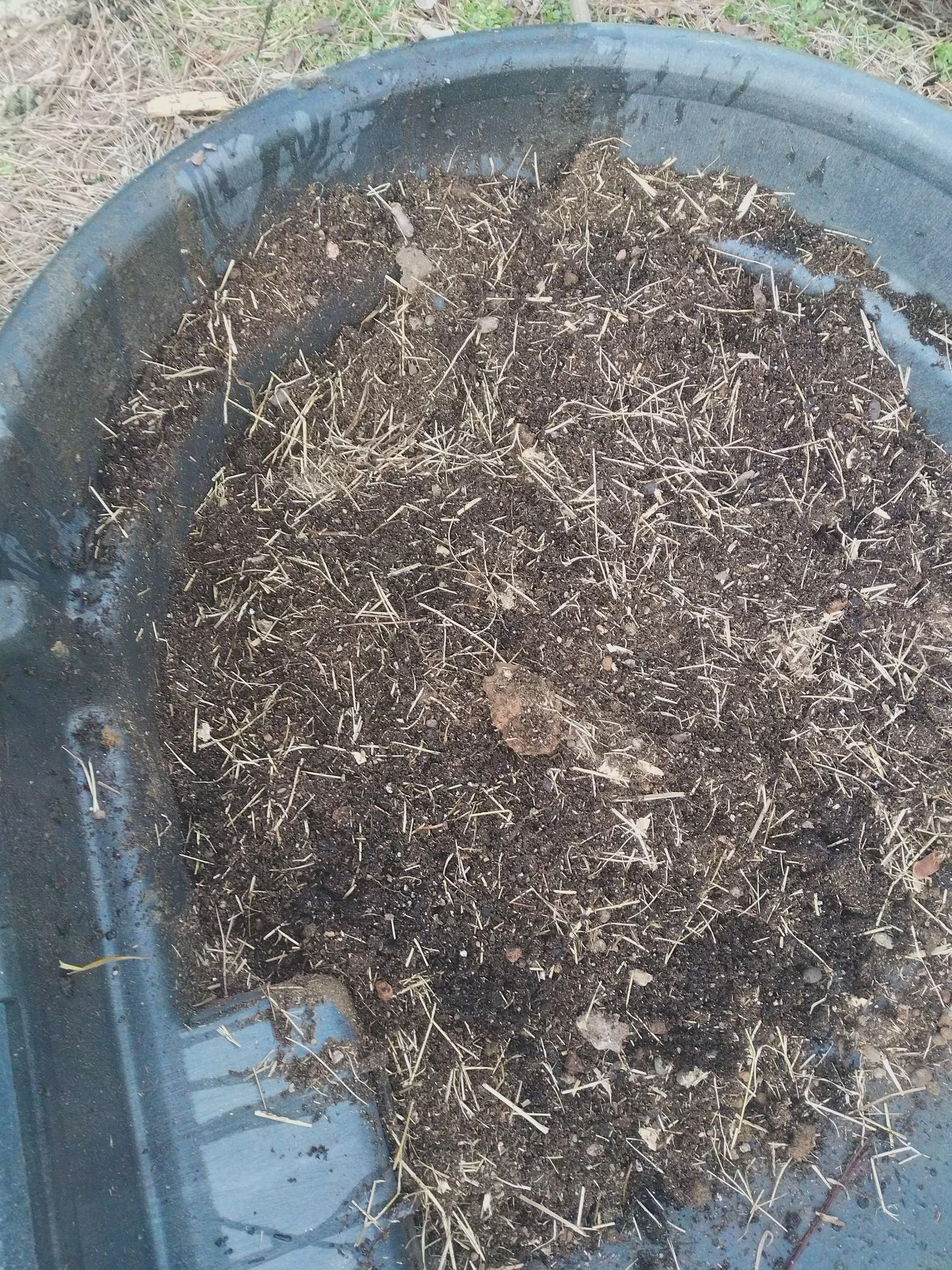 Growing Paper Bag Potatoes 5 Steps (with Pictures) Instructables
