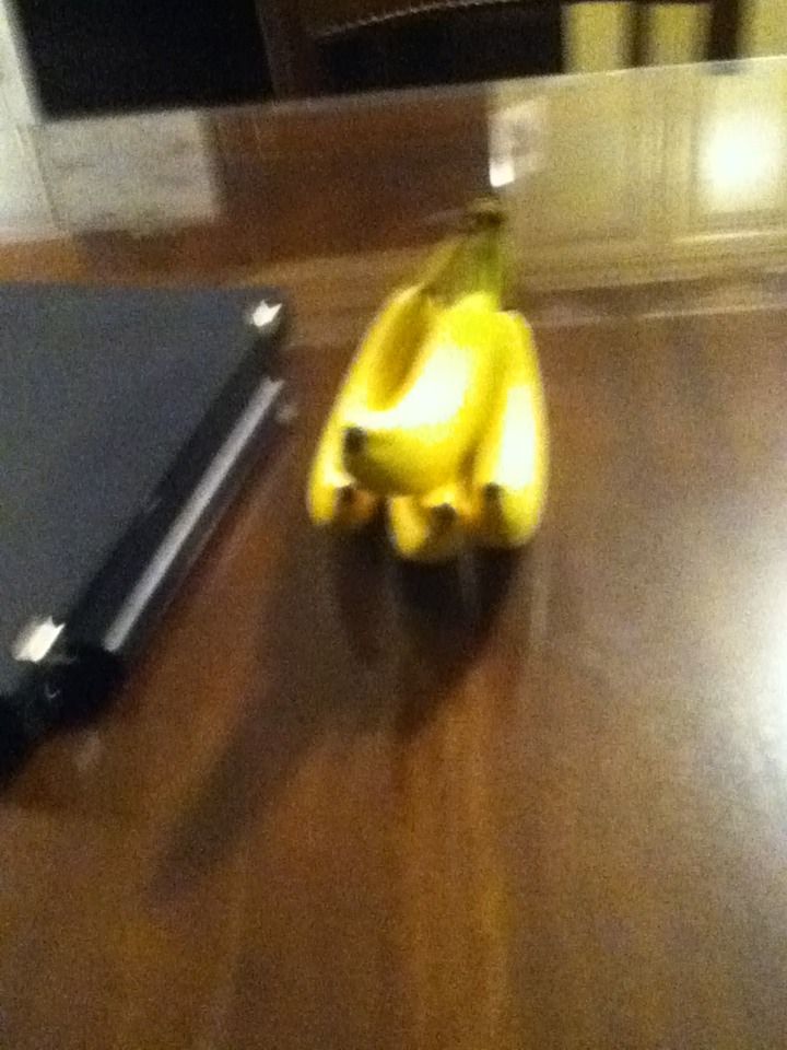 How to Entertain Yourself 