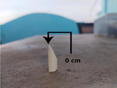 Crafting the Robot’s Belly