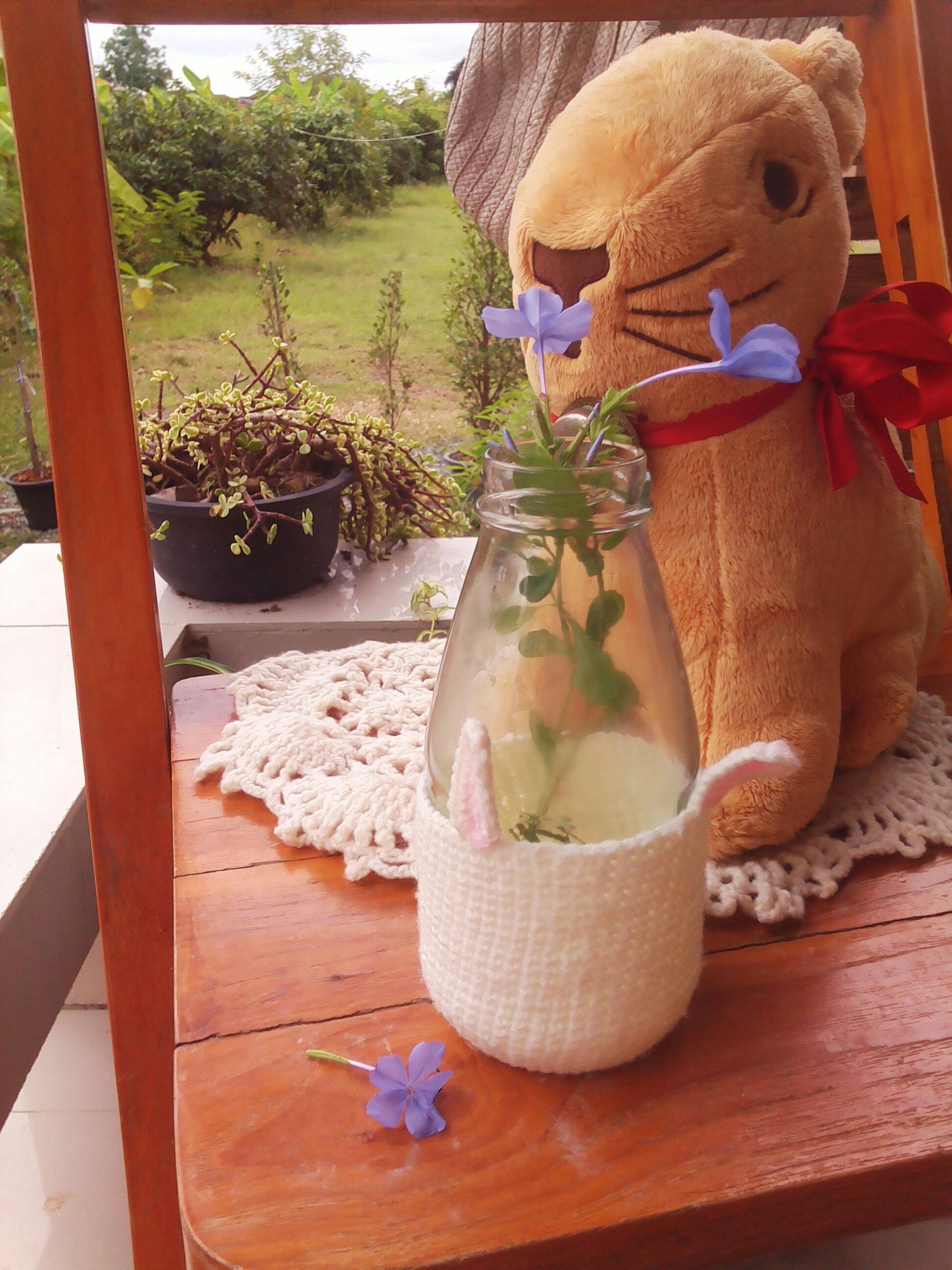 Little Bunny Bottle Cozy