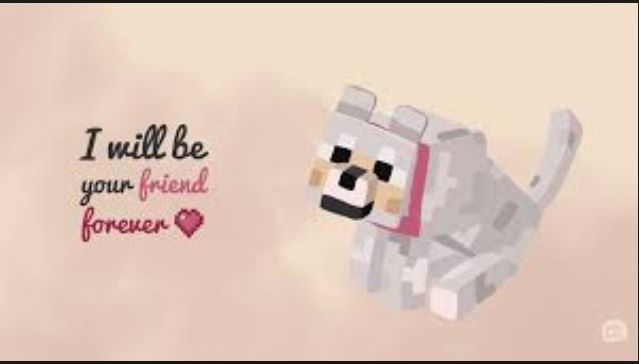 Minecraft Wolf Care P.E