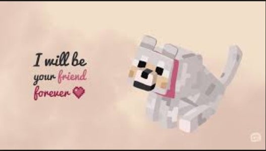 Minecraft Wolf Care P.E