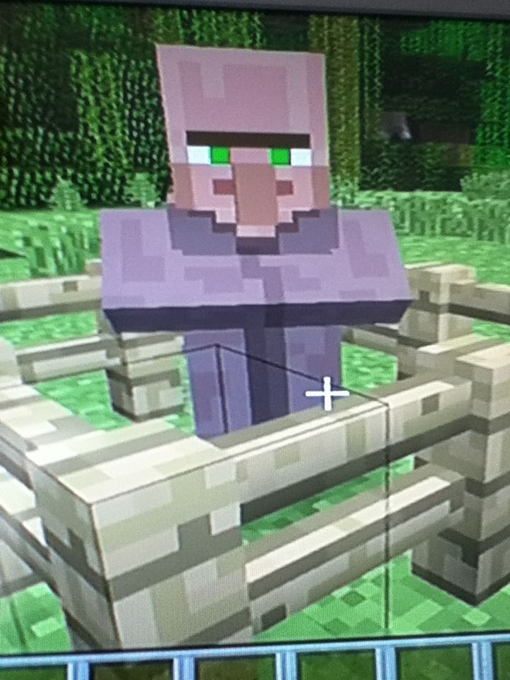 Making Mobs Fly