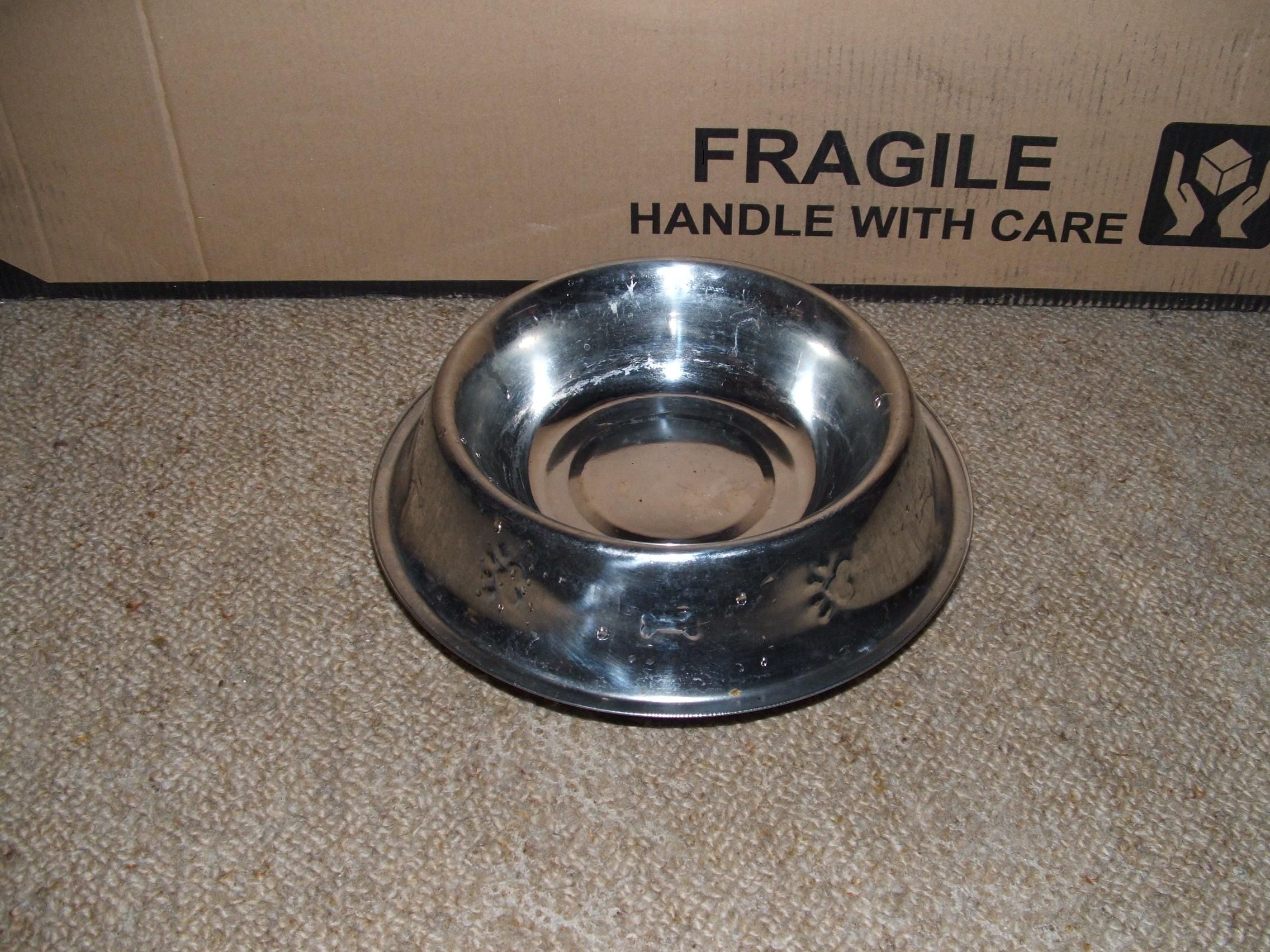 Keeping the Ants out of Your Pet's Food