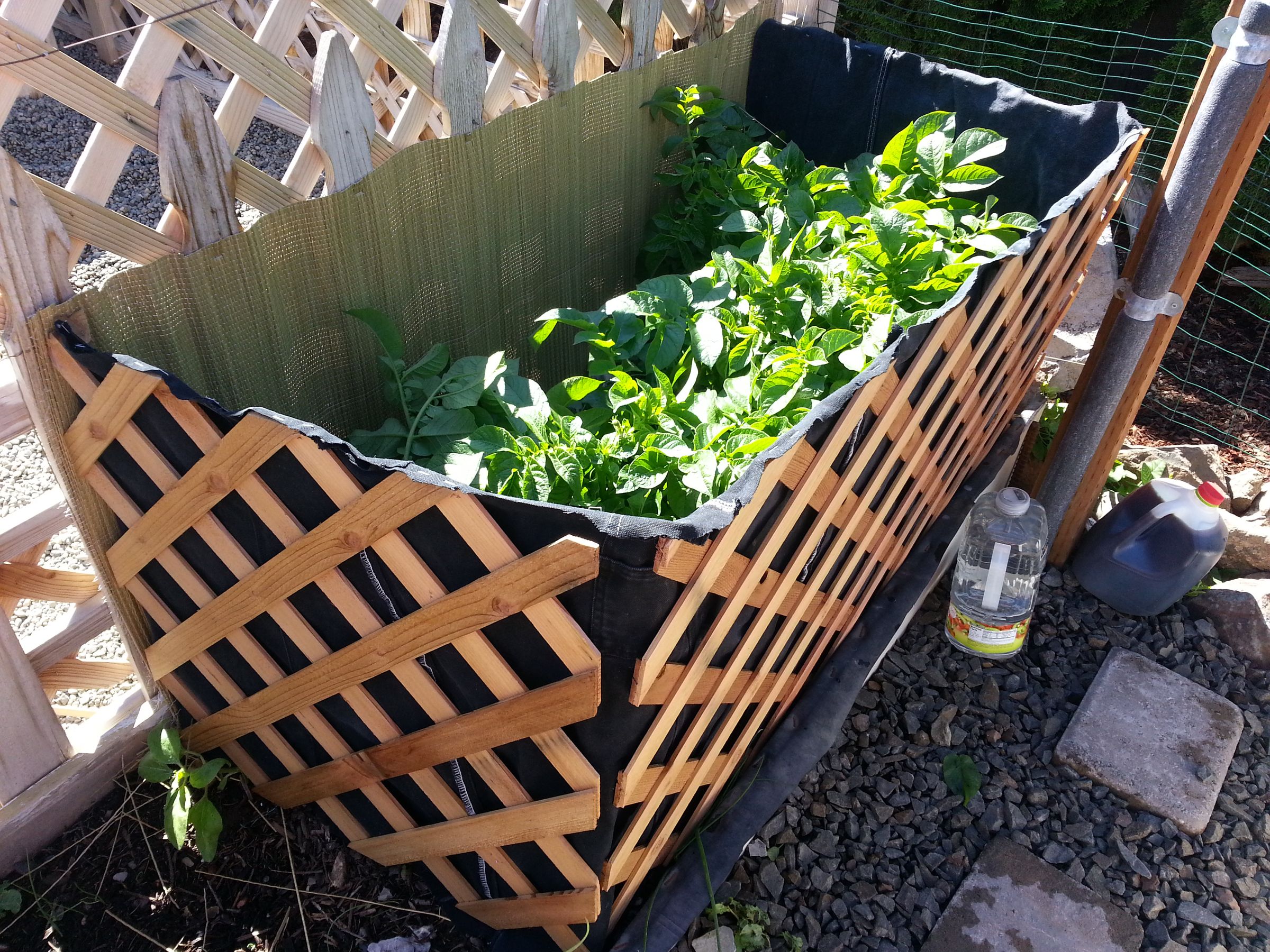 Potato Raised Bed 6 Steps (with Pictures) Instructables