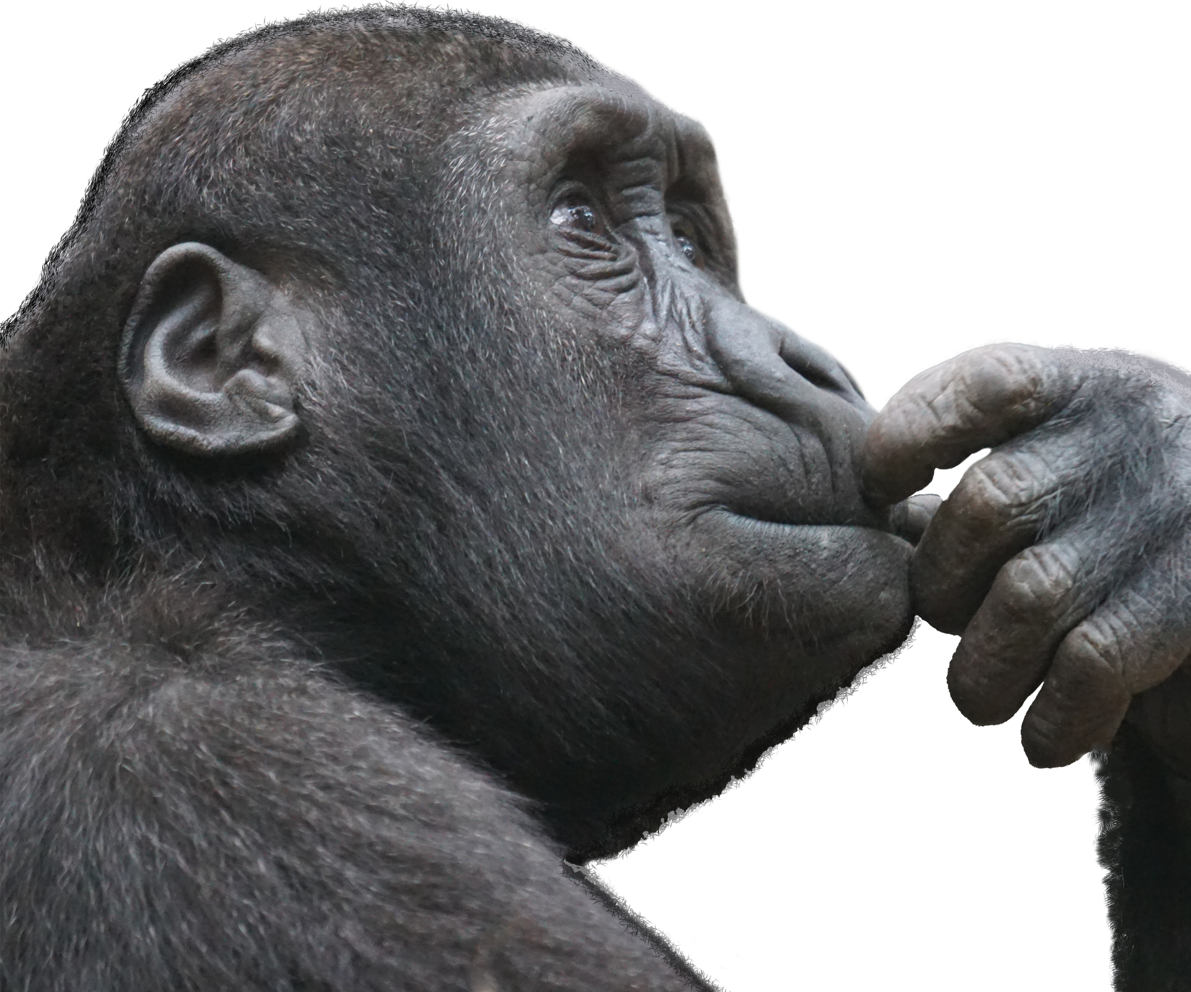 Think First Before Hiding Stuff