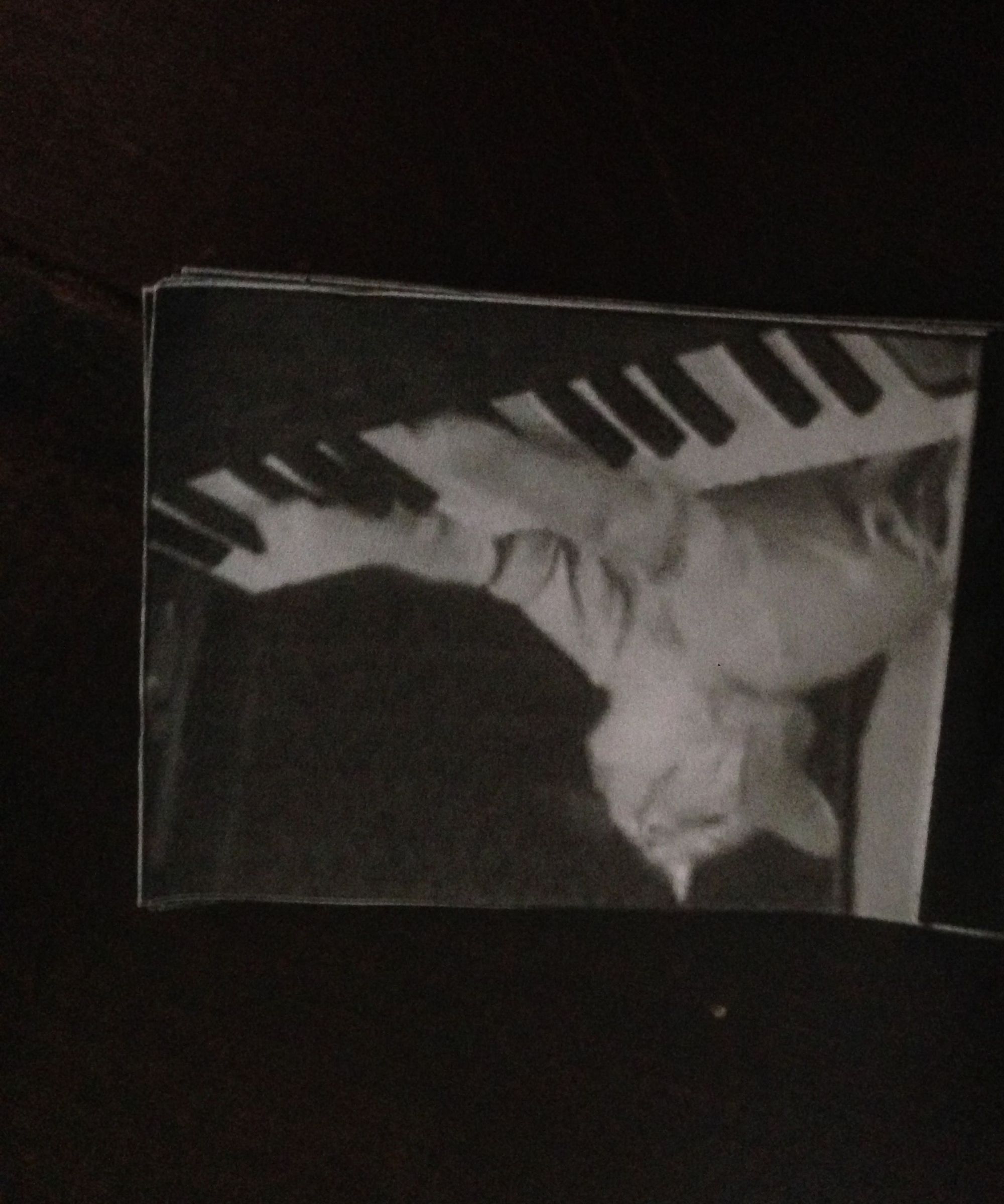 Flipbook Gif